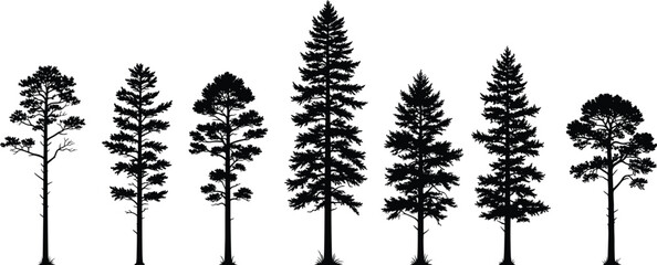 Black pine tree silhouette set with spruce and fir evergreen forest elements, cad drawing flat vector illustration, isolated on white