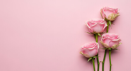 Pink roses bouquet on soft pink background with copy space