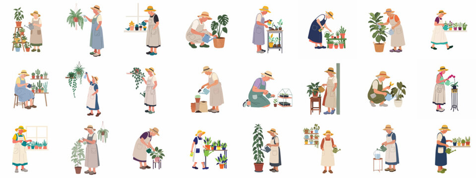 Elderly women engaging in various indoor gardening activities, caring for houseplants with dedication and joy.