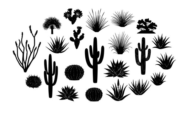 Southwest Desert Plant Silhouette Bundle with Cactus Succulent and Botanical Shapes Vector Isolated on White