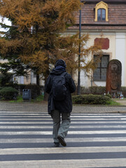 Fototapeta premium man on the pedestrian crossing