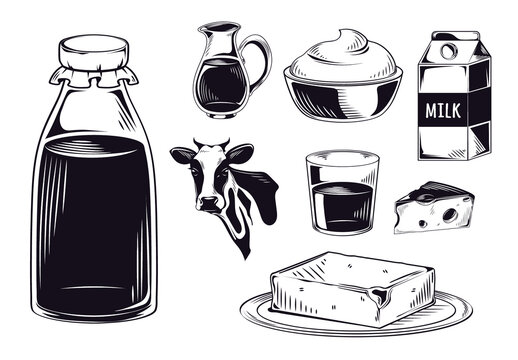 Milk products Illustration Icons set