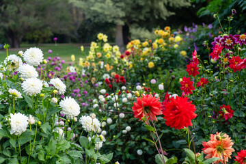 Composition of different coloured flowers at botanical garden © NW photography