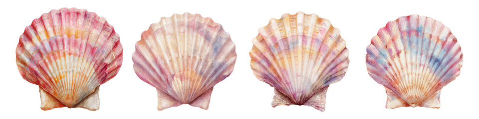 Watercolor collection of various scallop shells with soft pastel colors creating a whimsical design representing ocean life, marine nature, and summer beach themes © Narin