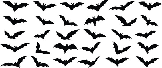 Fototapeta premium Large collection of black bat silhouettes in different flying poses and wing positions, isolated on white background for Halloween and nature design