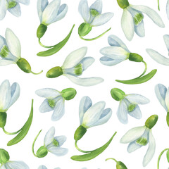 Seamless pattern of white snowdrops white