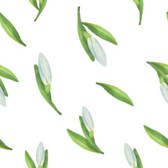 Seamless pattern snowdrop buds white