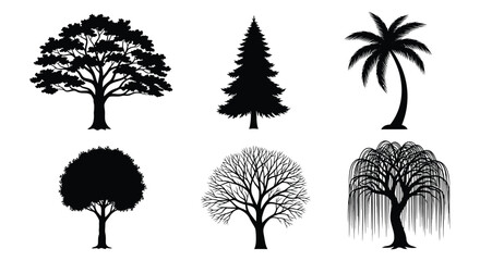 Fototapeta premium Set of 6 Black Tree Silhouette Vector Icons Isolated on White