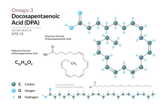 Omega-3 Docosapentaenoic Acid (DPA) Chemical Structure and Structural Formula, 3D Molecular Model, Polyunsaturated Fatty Acid, Scientific Vector Illustration