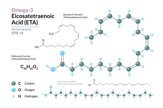 Omega-3 Eicosatetraenoic Acid (ETA) Chemical Structure and Structural Formula, 3D Molecular Model, Polyunsaturated Fatty Acid, Scientific Vector Illustration