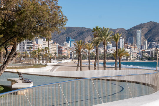 Palm lined promenade by beach sea coast with skyline architecture and tourism in Benidorm Spain ideal Mediterranean travel destination view