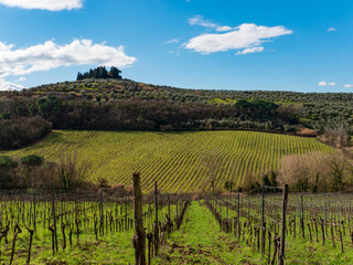 Obraz premium Italia, Toscana, provincia di Firenze, la campagna di Sammontana , Empoli.