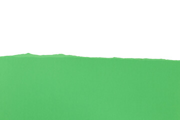 Un morceau de papier brut de couleur vert, d&eacute;chir&eacute; et isol&eacute;, au format png transparent. Un espace de copie.