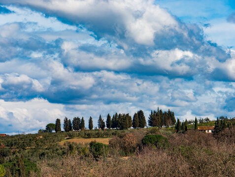Italia, Toscana, provincia di Firenze, la campagna di Sammontana , Empoli.
