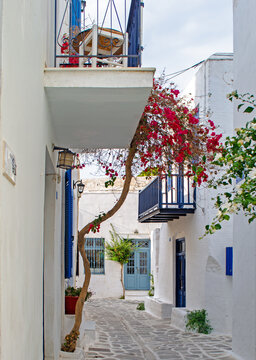Charming White-Washed Alley in Parikia Old Town, Paros, Greece with bougainvillea growing up balconies