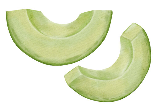 Hand-drawn watercolor illustration of an avocado. Sliced ??green avocado. Healthy eating. Perfect for stores, cafes, packaging, menus, labels, fresh produce branding, and cosmetics.