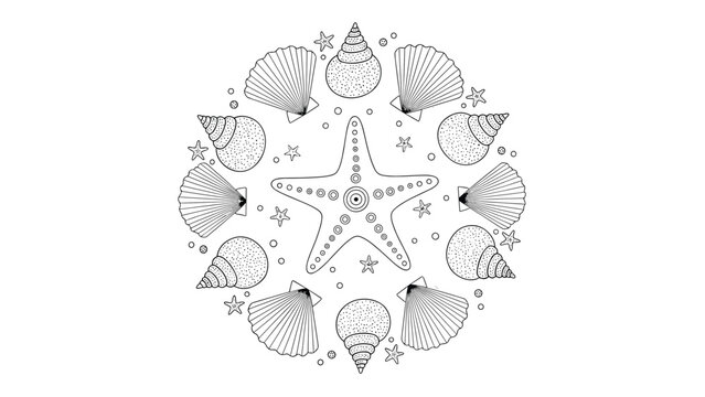 Beautiful circular arrangement of detailed black and white line drawings of sea shells surrounding a central starfish on a white background.