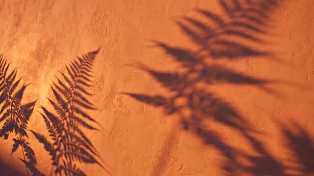 Abstract natural shadows of fern leaves creating patterns on a warm orange wall surface