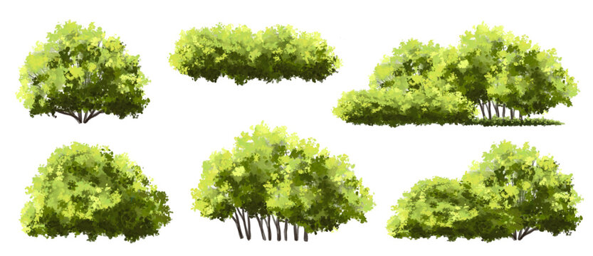 Vector watercolor green tree or forest side view isolated on white background for landscape and architecture drawing,elements for environment or garden,botanical element for exterior section in spring