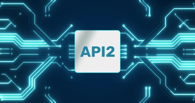 API2 - Application Programming Interface Version 2 on a circuit board