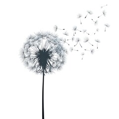 A dandelion flower dispersing seeds in the wind on a white background