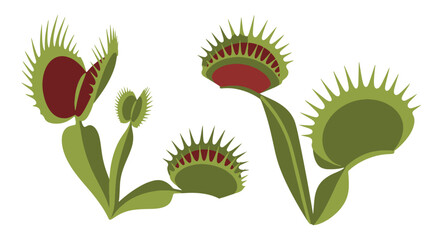Venus Flytrap Line abstract bold color illustration © Mukti