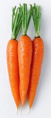 Three fresh carrots with green tops, close up, on a white background