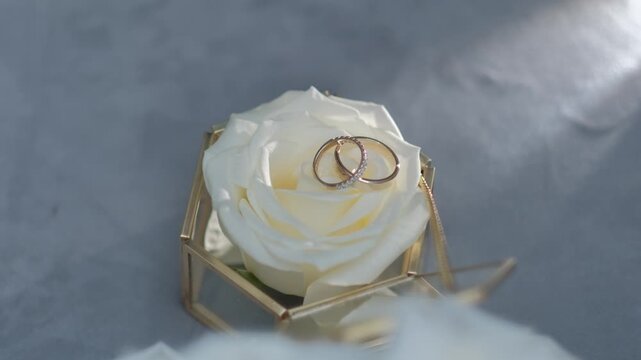 Two wedding rings resting on a white rose inside a hexagonal glass jewelry box. Close up shot with subtle light movement.
