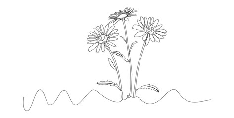 An elegant monoline botanical image in a single line style, symbolizing nature, growth, spring, freshness and an organic lifestyle. © MNAStudio