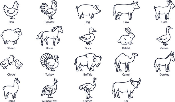 Farm animals icons set with livestock hen cow pig horse goat sheep vector illustration collection for agriculture and farming design