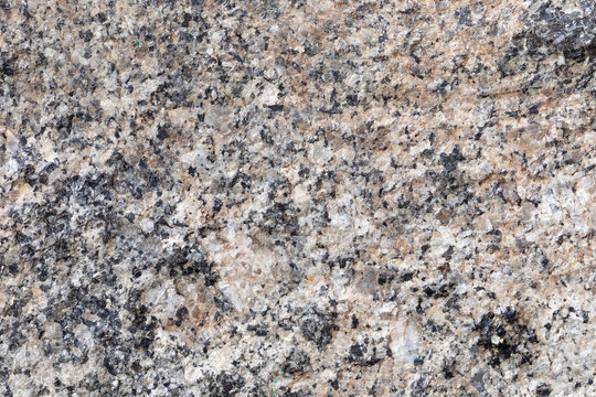 A close-up, detailed view of the rough granite surface of an ancient stone quern, showcasing its intriguing texture.