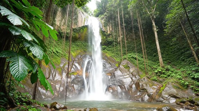 Tropical waterfall cascading down rocky slope in lush green forest, surrounded by dense foliage and tall trees, with sunlight filtering through