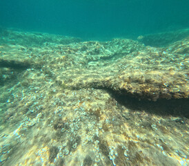 Obraz premium Underwater image clear water of the Mediterranean sea with sarpa salpa school of fish snorkeling in Moraira Alicante Spain
