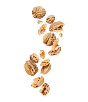 Crushed walnuts floating in the air isolated on a white background