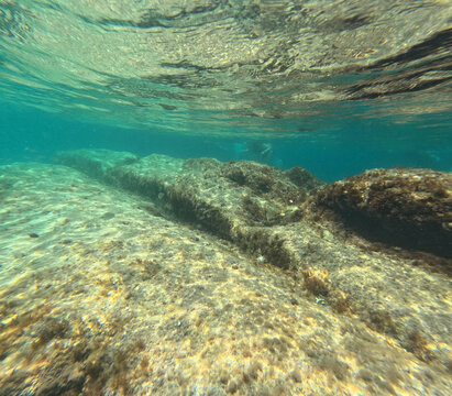 Underwater image clear water of the Mediterranean sea with sarpa salpa school of fish snorkeling in Moraira Alicante Spain
