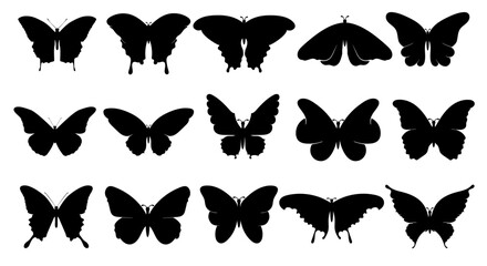 Butterfly Silhouette Set – Black Insect Outline Collection Vector © NSR01
