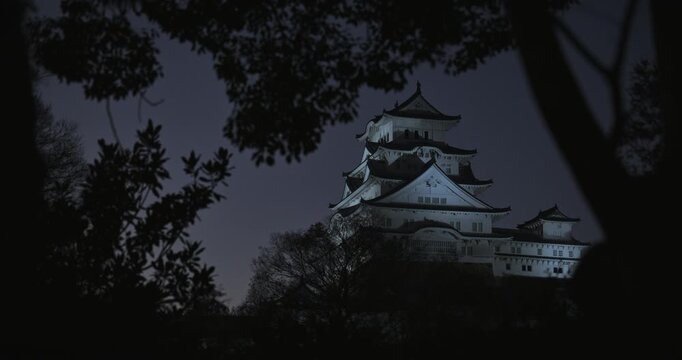 Dark silhouette of trees and spotlights on ancient 16th century Matsumoto castle - low, still shot