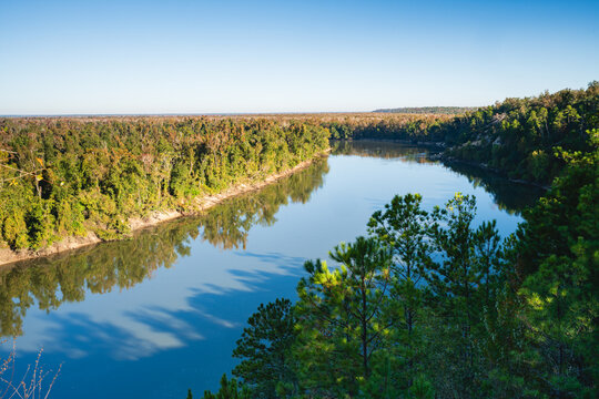 Apalachicola river from Alum Bluff, Apalachicola Bluffs and Ravines State Park, Florida