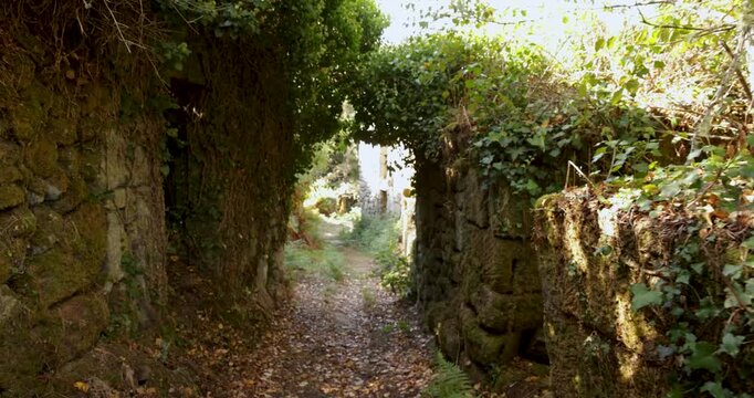A path through a forest with a stone archway leads to a spooky abandoned village.