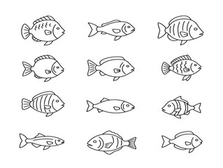 Gorgeous fish outline collection with elegant minimal vector style