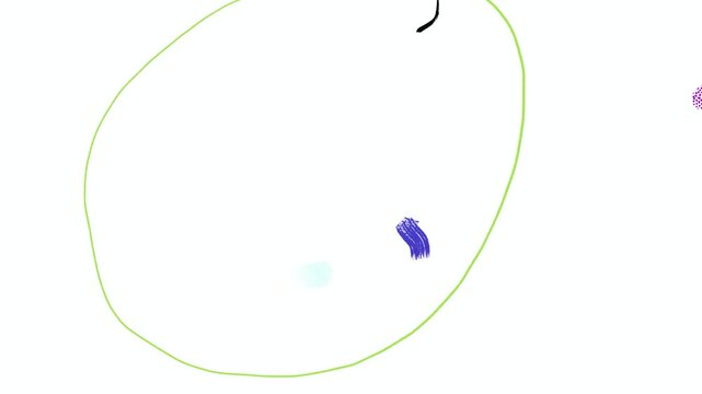 Abstract background. Animated circles and lines. 