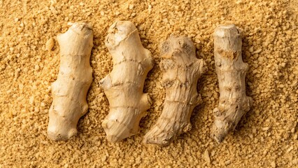 Fresh Ginger Roots with Ground Powder &ndash; Culinary and Herbal
