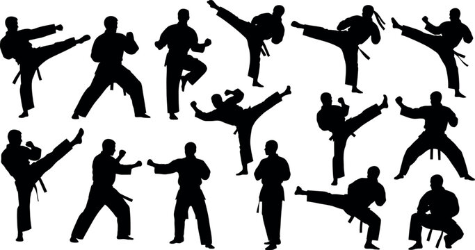 Martial arts silhouette collection various karate and taekwondo poses