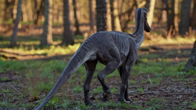 A life-like 3D animation of a gray theropod dinosaur, resembling a Deinocheirus or Ornithomimid, foraging in a sunny woodland. The scene features realistic textures and a natural forest environment.