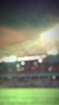 Soccer Ball Scoring Goal at Night Vertical View - Brazil