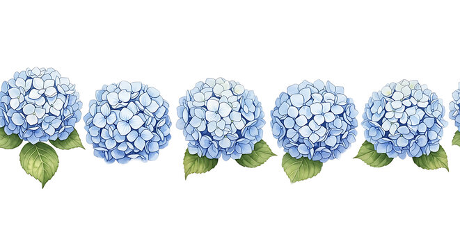 Floral border of blue hydrangeas on transparent background