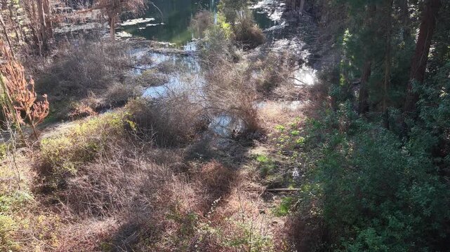 tranque la luz, curauma, agua apozada