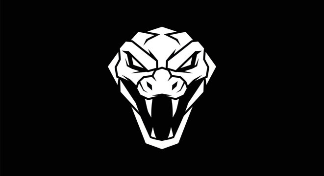 Snake head illustration on black background