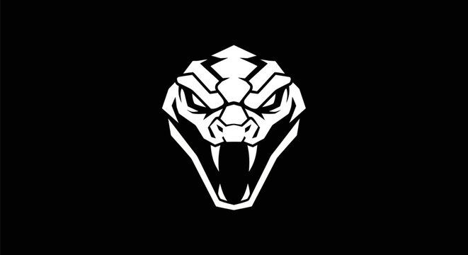 Snake head vector illustration
