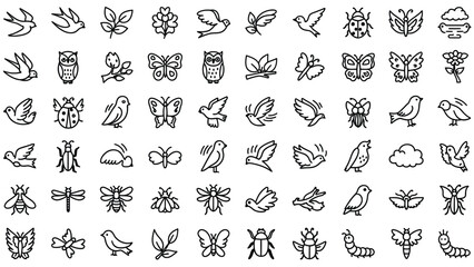 Fototapeta premium A collection of black and white line art icons featuring various insects, birds, and natural elements like leaves and a cloud, arranged in a grid.